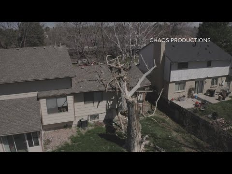 Veteran’s Home Destroyed by Windstorm Rebuilt by Volunteers | Heartwarming Community Effort | 9News
