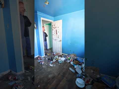 Beyond Water Damage: The Unexpected Animal House Restoration